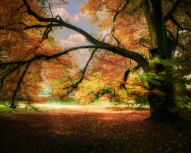 Vivid_Tree_Art